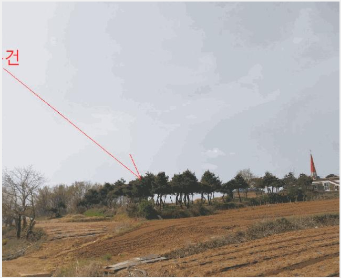 ÅäÁö(Àü) »çÁø1 | °íⱺ ´ë»ê¸é Á߻긮 | 2025Ÿ°æ30229 | ÅäÁö(Àü)°æ¸Å