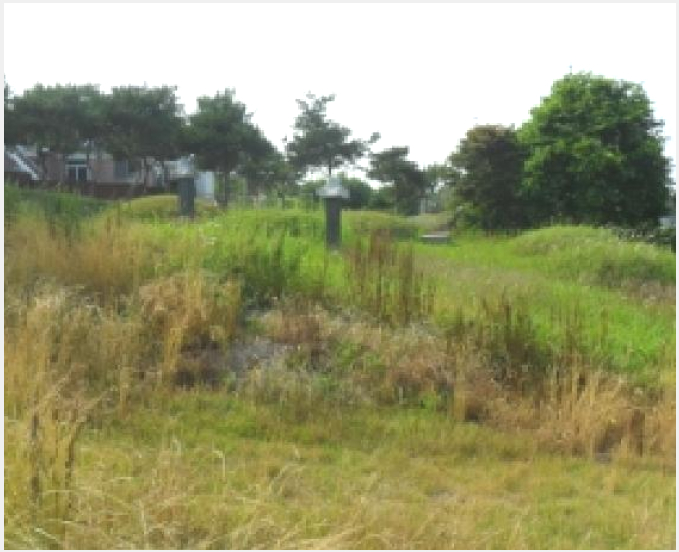 ÅäÁö(Àü) »çÁø1 | °íⱺ ´ë»ê¸é Á߻긮 | 2025Ÿ°æ30229 | ÅäÁö(Àü)°æ¸Å