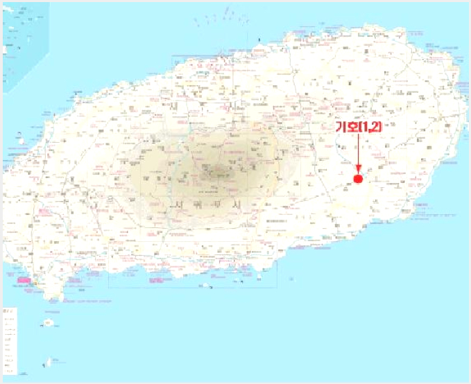 ÅäÁö(ÀÓ¾ß) »çÁø1 | ¼±ÍÆ÷½Ã Ç¥¼±¸é °¡½Ã¸® | 2025Ÿ°æ1518 | ÅäÁö(ÀÓ¾ß)°æ¸Å