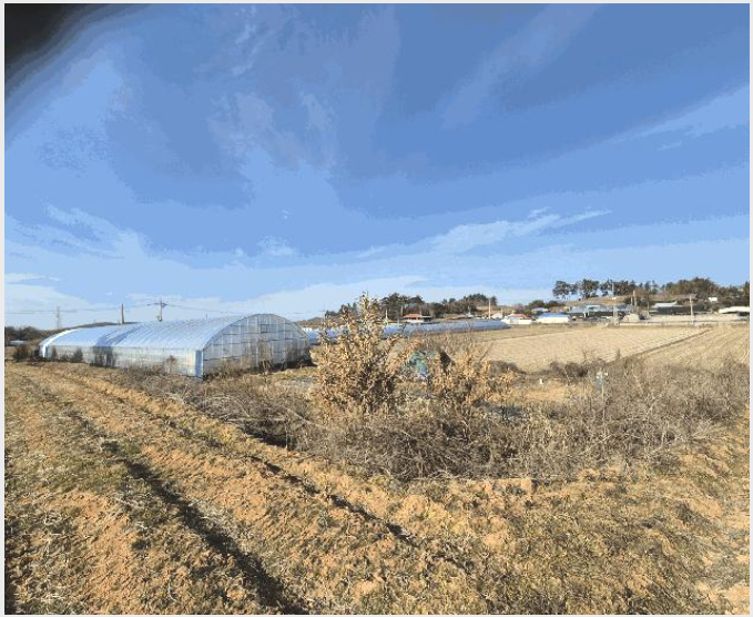ÅäÁö(ÀÓ¾ß) »çÁø1 | ³ªÁֽà Æò»êµ¿ 249-8 | 2025Ÿ°æ34766 | ÅäÁö(ÀÓ¾ß)°æ¸Å
