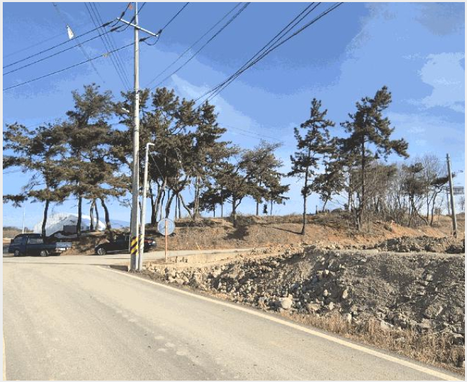 ÅäÁö(ÀÓ¾ß) »çÁø1 | ³ªÁֽà Æò»êµ¿ 249-8 | 2025Ÿ°æ34766 | ÅäÁö(ÀÓ¾ß)°æ¸Å