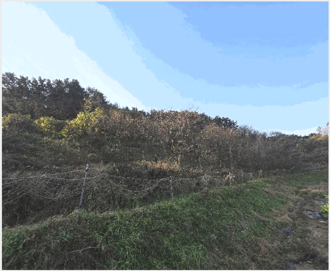 ÅäÁö(Àü) »çÁø1 | ºÎ¾È±º º¯»ê¸é ¿î»ê¸® | 2025Ÿ°æ30524 | ÅäÁö(Àü)°æ¸Å