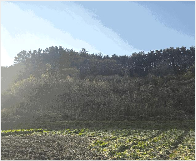 ÅäÁö(Àü) »çÁø1 | ºÎ¾È±º º¯»ê¸é ¿î»ê¸® | 2025Ÿ°æ30524 | ÅäÁö(Àü)°æ¸Å