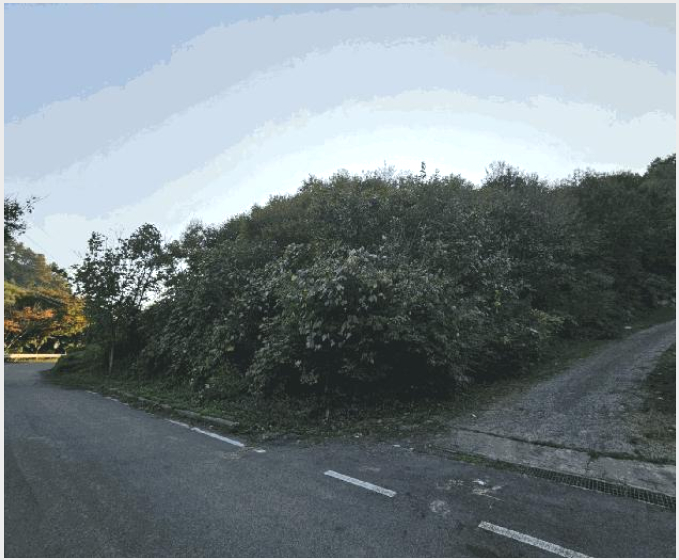 ÅäÁö(ÀÓ¾ß) »çÁø1 | °øÁֽà °è·æ¸é ±â»ê¸® | 2024Ÿ°æ1257 | ÅäÁö(ÀÓ¾ß)°æ¸Å