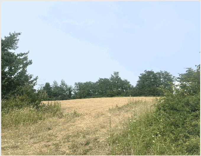 ÅäÁö(Àü) »çÁø1 | ¼ÓÃʽà ³ëÇе¿ 510-15 | 2025Ÿ°æ10268 | ÅäÁö(Àü)°æ¸Å