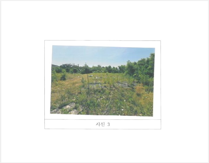 ÅäÁö(Àü) »çÁø1 | ±èõ½Ã ¹®´çµ¿ 402-1 | 2025Ÿ°æ364 | ÅäÁö(Àü)°æ¸Å