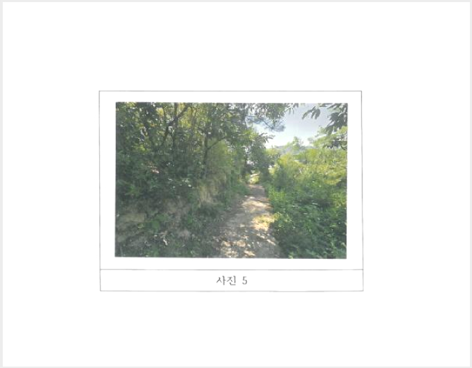 ÅäÁö(Àü) »çÁø1 | ±èõ½Ã ¹®´çµ¿ 402-1 | 2025Ÿ°æ364 | ÅäÁö(Àü)°æ¸Å