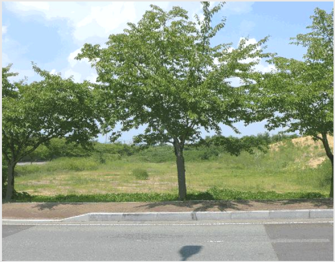 ÅäÁö(Àü) »çÁø1 | °æÁֽà õ±ºµ¿ 809 | 2025Ÿ°æ10639 | ÅäÁö(Àü)°æ¸Å