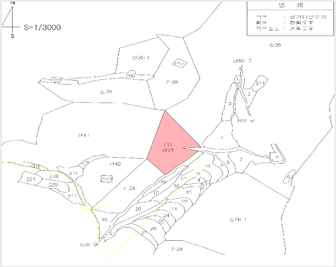 ÅäÁö(ÀÓ¾ß) »çÁø1 | ¿µÃµ½Ã ´ëâ¸é ¾î¹æ¸® | 2025Ÿ°æ8360 | ÅäÁö(ÀÓ¾ß)°æ¸Å