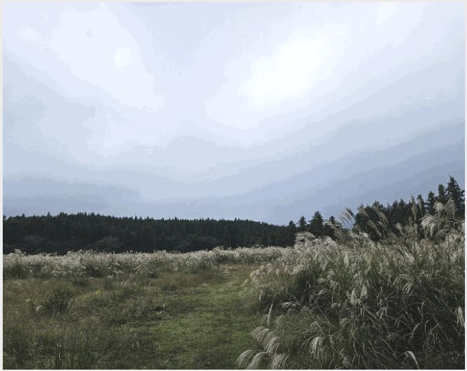 ÅäÁö(ÀÓ¾ß) »çÁø1 | Á¦Áֽà Á¶ÃµÀ¾ ±³·¡¸® | 2025Ÿ°æ8858 | ÅäÁö(ÀÓ¾ß)°æ¸Å
