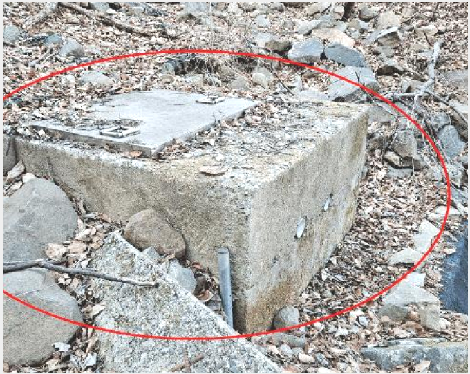 ÅäÁö(°ú¼ö¿ø) »çÁø1 | ÇԾȱº ¿©Ç׸é ÁÖ¼¸® | 2025Ÿ°æ20353 | ÅäÁö(°ú¼ö¿ø)°æ¸Å