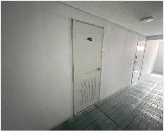 ´Ù¼¼´ë,ºô¶ó »çÁø1 | ÆÄÁֽà ¾ß´çµ¿ 220-1 | 2025Ÿ°æ62823 | ´Ù¼¼´ë,ºô¶ó°æ¸Å
