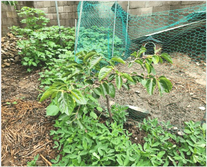 ´Üµ¶ÁÖÅà »çÁø1 | À强±º ³²¸é ¿ù°î¸® | 2025Ÿ°æ33421 | ´Üµ¶ÁÖÅðæ¸Å