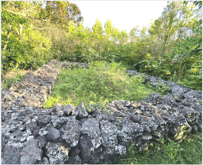 ÅäÁö(ÀÓ¾ß) »çÁø1 | ¼±ÍÆ÷½Ã ¼º»êÀ¾ ¿ÂÆò¸® | 2025Ÿ°æ7931 | ÅäÁö(ÀÓ¾ß)°æ¸Å