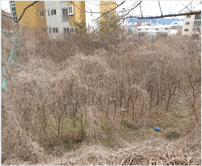 ÅäÁö(´ä) »çÁø1 | ±¸¹Ì½Ã ÀÓ¼öµ¿ 300 | 2024Ÿ°æ794 | ÅäÁö(´ä)°æ¸Å
