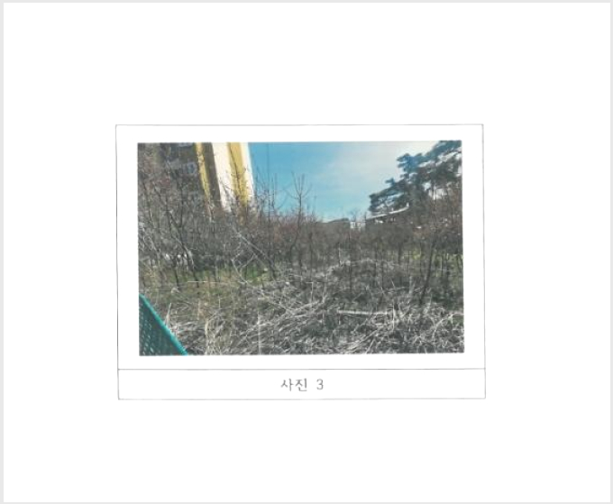 ÅäÁö(´ä) »çÁø1 | ±¸¹Ì½Ã ÀÓ¼öµ¿ 300 | 2024Ÿ°æ794 | ÅäÁö(´ä)°æ¸Å