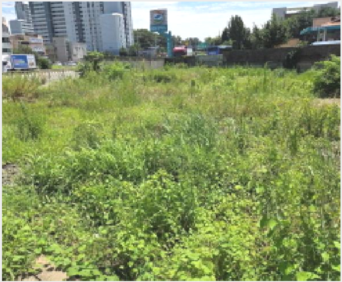 ÅäÁö(´ëÁö) »çÁø1 | õ¾È½Ã ¼ºÏ±¸ ¼ºÈ¯À¾ | 2025Ÿ°æ12132 | ÅäÁö(´ëÁö)°æ¸Å