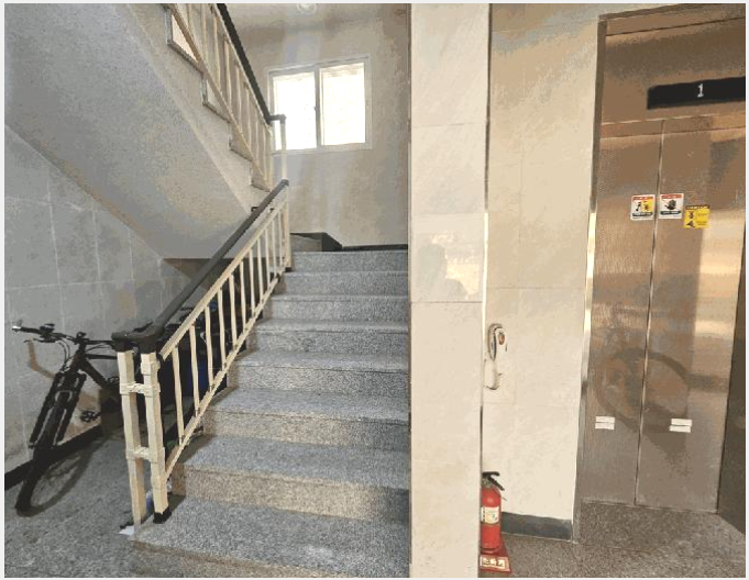 ´Ù¼¼´ë,ºô¶ó »çÁø1 | ¾çÁֽà ¹é¼®À¾ º¹Áö¸® | 2026Ÿ°æ70251 | ´Ù¼¼´ë,ºô¶ó°æ¸Å
