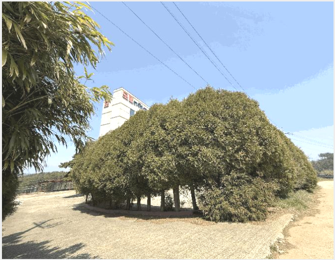 È£ÅÚ¸ðÅÚ »çÁø1 | žȱº ³²¸é ´ç¾Ï¸® | 2025Ÿ°æ51188 | È£ÅÚ¸ðÅÚ°æ¸Å