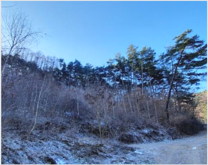 ÅäÁö(ÀÓ¾ß) »çÁø1 | Æòⱺ ¹æ¸²¸é ¹æ¸²¸® | 2024Ÿ°æ2034 | ÅäÁö(ÀÓ¾ß)°æ¸Å