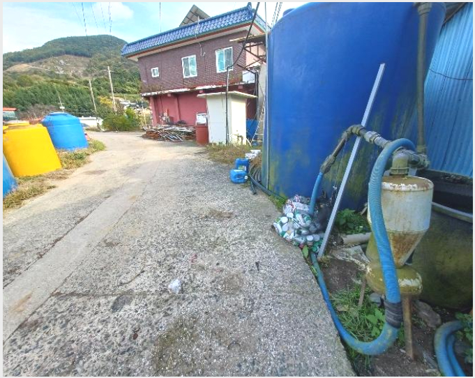 ÅäÁö(Àü) »çÁø1 | Çϵ¿±º Çϵ¿À¾ Èï·æ¸® | 2024Ÿ°æ5874 | ÅäÁö(Àü)°æ¸Å