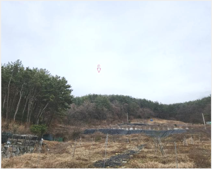 ÅäÁö(Àü) »çÁø1 | ³²Çرº °íÇö¸é °¥È¸® | 2023Ÿ°æ39481 | ÅäÁö(Àü)°æ¸Å