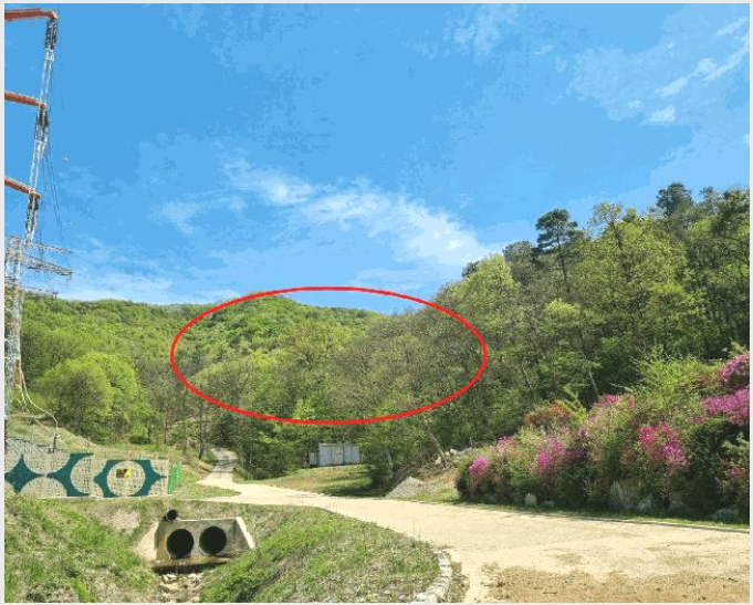 ÅäÁö(ÀÓ¾ß) »çÁø1 | ¿ëÀνà óÀα¸ ³²»çÀ¾ | 2025Ÿ°æ55478 | ÅäÁö(ÀÓ¾ß)°æ¸Å