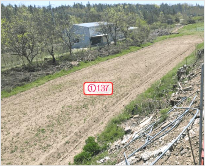ÅäÁö(Àü) »çÁø1 | ¿µÃµ½Ã ÀÓ°í¸é Æòõ¸® | 2025Ÿ°æ771 | ÅäÁö(Àü)°æ¸Å
