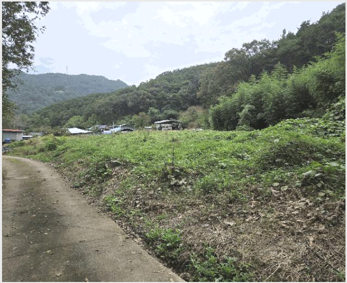 ÅäÁö(´ëÁö) »çÁø1 | °í·É±º °³Áø¸é ¾çÀü¸® | 2025Ÿ°æ2948 | ÅäÁö(´ëÁö)°æ¸Å