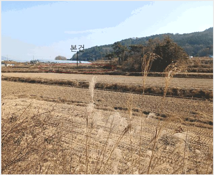 ÅäÁö(´ä) »çÁø1 | ¿µ¾Ï±º ¹Ì¾Ï¸é äÁö¸® | 2025Ÿ°æ561 | ÅäÁö(´ä)°æ¸Å