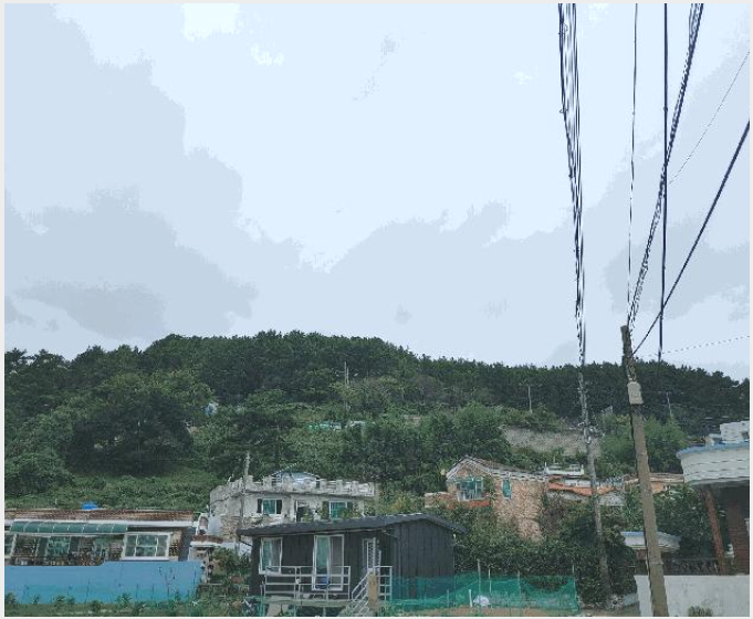 ÅäÁö(ÀÓ¾ß) »çÁø1 | Å뿵½Ã »ê¾çÀ¾ ¿µ¿î¸® | 2025Ÿ°æ21735 | ÅäÁö(ÀÓ¾ß)°æ¸Å