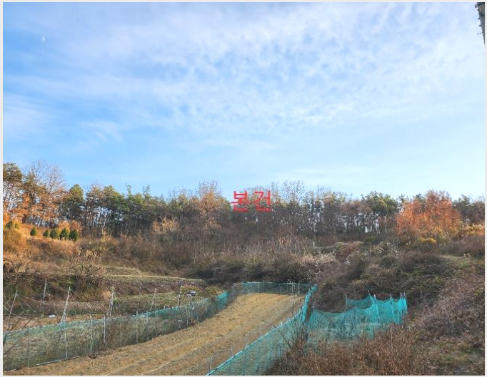 ÅäÁö(ÀÓ¾ß) »çÁø1 | ¿µÃµ½Ã ±ÝÈ£À¾ ±¸¾Ï¸® | 2024Ÿ°æ124011 | ÅäÁö(ÀÓ¾ß)°æ¸Å