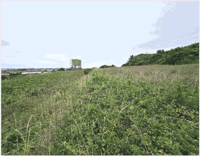 ÅäÁö(ÀÓ¾ß) »çÁø1 | ¼±ÍÆ÷½Ã ´ëÁ¤À¾ ¿µ¶ô¸® | 2025Ÿ°æ8309 | ÅäÁö(ÀÓ¾ß)°æ¸Å
