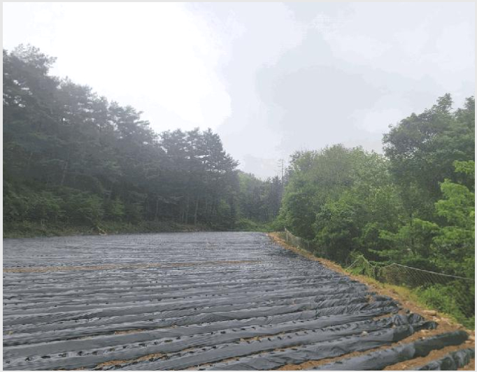 ÅäÁö(Àü) »çÁø1 | Æòⱺ ÁøºÎ¸é »ó¿ù¿À°³¸® | 2025Ÿ°æ30466 | ÅäÁö(Àü)°æ¸Å