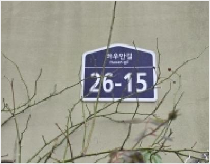 ´Ù¼¼´ë,ºô¶ó »çÁø1 | ÆÄÁֽà ¾ß´çµ¿ 243-23 | 2025Ÿ°æ65017 | ´Ù¼¼´ë,ºô¶ó°æ¸Å