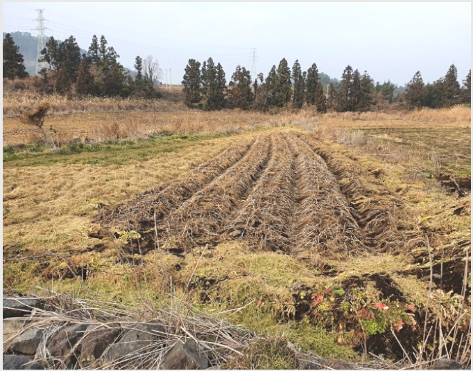 ÅäÁö(ÀÓ¾ß) »çÁø1 | ¼±ÍÆ÷½Ã ¾È´ö¸é »óõ¸® | 2021Ÿ°æ8882 | ÅäÁö(ÀÓ¾ß)°æ¸Å