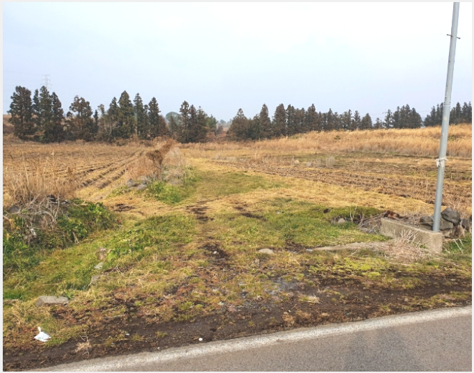 ÅäÁö(ÀÓ¾ß) »çÁø1 | ¼±ÍÆ÷½Ã ¾È´ö¸é »óõ¸® | 2021Ÿ°æ8882 | ÅäÁö(ÀÓ¾ß)°æ¸Å