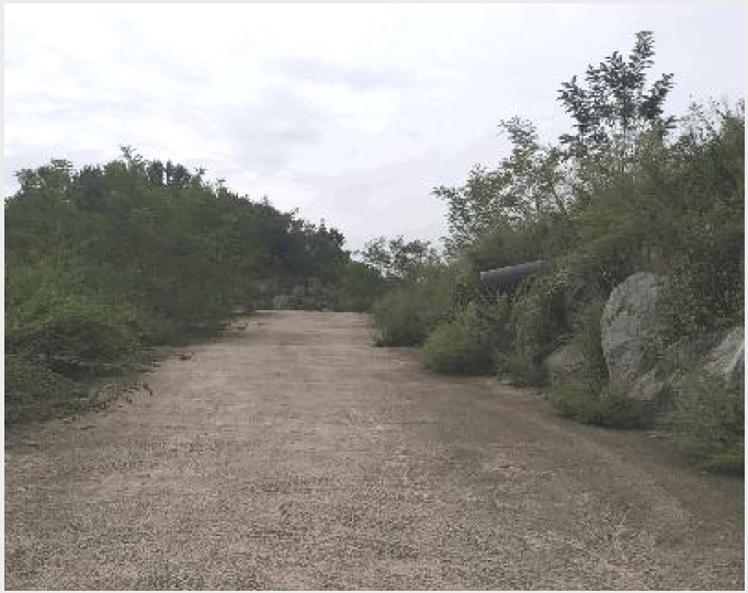 ÅäÁö(ÀÓ¾ß) »çÁø1 | ±«»ê±º û¾È¸é À¾³»¸® | 2025Ÿ°æ51689 | ÅäÁö(ÀÓ¾ß)°æ¸Å