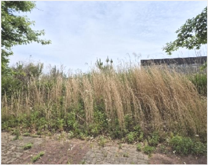 ÅäÁö(°øÀå¿ëÁö) »çÁø1 | ³ªÁֽà ¿Õ°î¸é ´ö»ê¸® | 2025Ÿ°æ3744 | ÅäÁö(°øÀå¿ëÁö)°æ¸Å