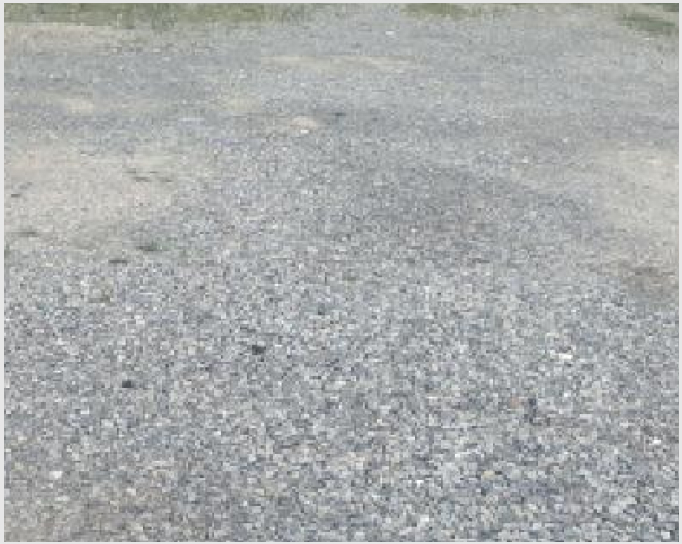 ÅäÁö(´ëÁö) »çÁø1 | ¾ç»ê½Ã Áߺε¿ 676-4 | 2025Ÿ°æ12307 | ÅäÁö(´ëÁö)°æ¸Å