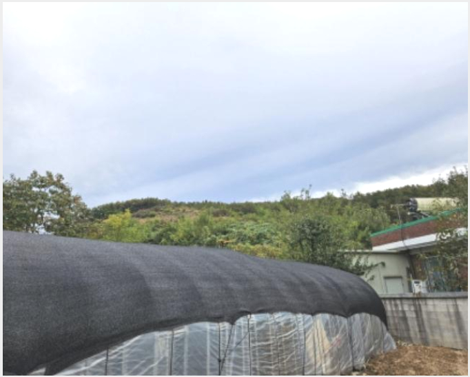 ÅäÁö(Àü) »çÁø1 | ¿ëÀνà óÀα¸ À̵¿À¾ | 2024Ÿ°æ90629 | ÅäÁö(Àü)°æ¸Å