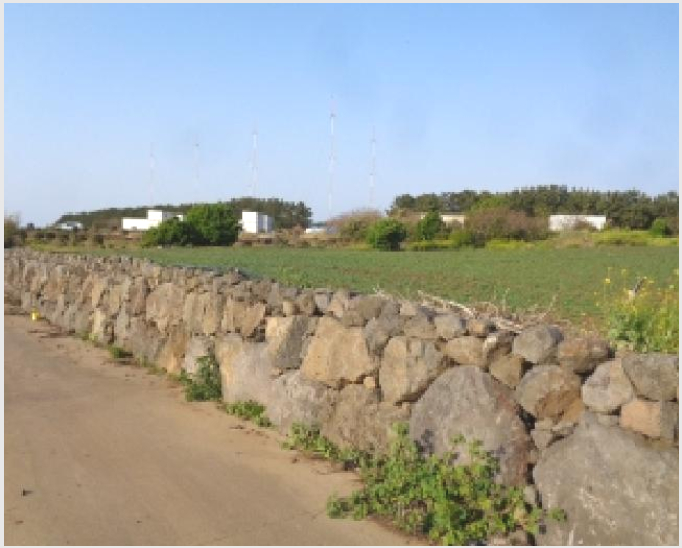 ÅäÁö(Àü) »çÁø1 | Á¦Áֽà ¾Ö¿ùÀ¾ ±¸¾ö¸® | 2025Ÿ°æ1114 | ÅäÁö(Àü)°æ¸Å