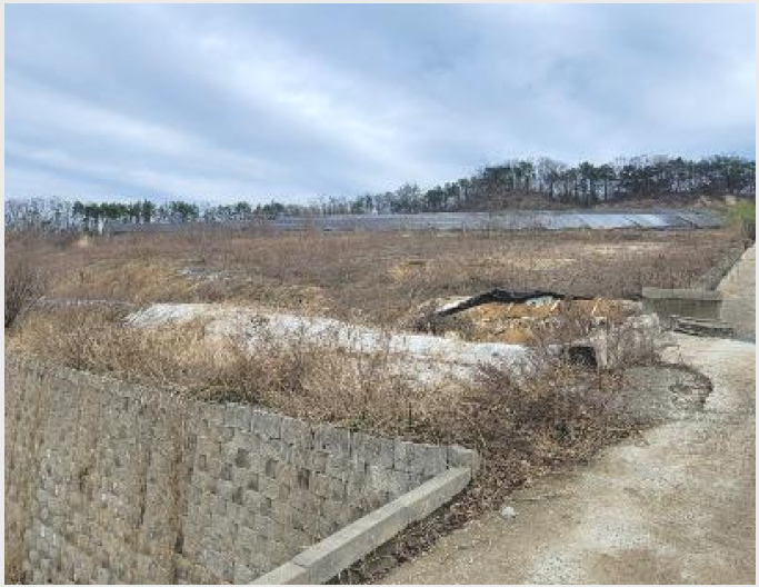 ÅäÁö(ÀÓ¾ß) »çÁø1 | ¿©Áֽà ´ë½Å¸é Çϸ²¸® | 2024Ÿ°æ32926 | ÅäÁö(ÀÓ¾ß)°æ¸Å