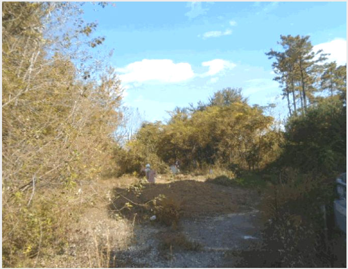 ÅäÁö(ÀÓ¾ß) »çÁø1 | ±¤»ê±¸ ºñ¾Æµ¿ »ê103 | 2025Ÿ°æ34163 | ÅäÁö(ÀÓ¾ß)°æ¸Å