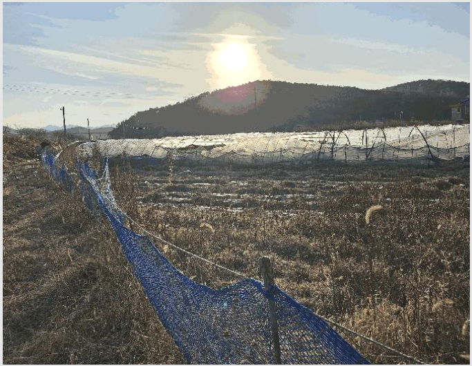 ÅäÁö(´ä) »çÁø1 | ±Ý³²¸é µµ¾Ï¸® 107 | 2025Ÿ°æ4022 | ÅäÁö(´ä)°æ¸Å