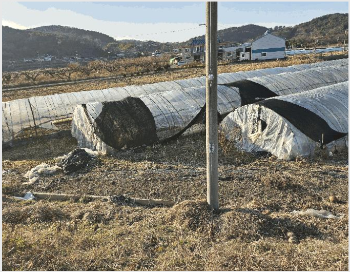 ÅäÁö(´ä) »çÁø1 | ±Ý³²¸é µµ¾Ï¸® 107 | 2025Ÿ°æ4022 | ÅäÁö(´ä)°æ¸Å
