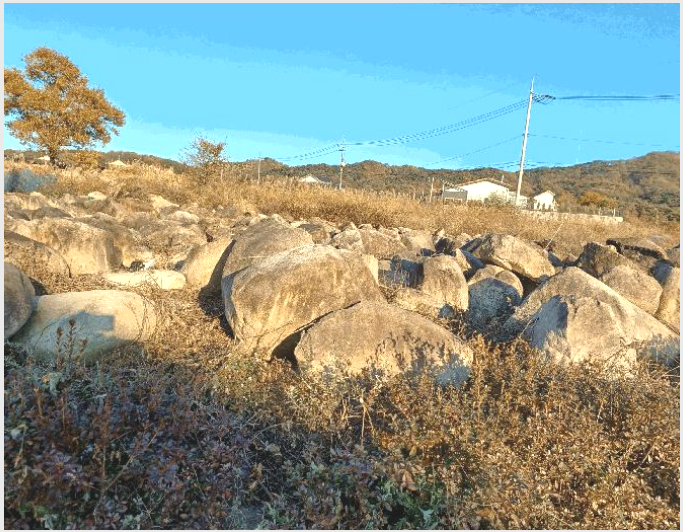 ÅäÁö(ÀÓ¾ß) »çÁø1 | °æÁֽà °µ¿¸é ¾È°è¸® | 2025Ÿ°æ587 | ÅäÁö(ÀÓ¾ß)°æ¸Å
