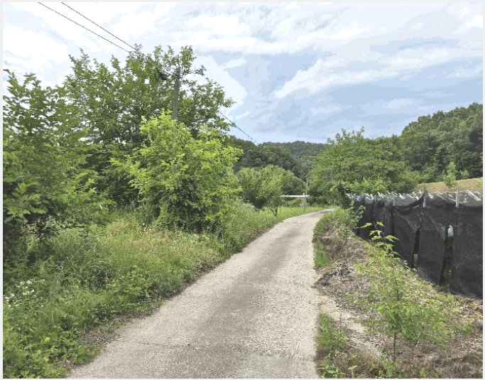 ÅäÁö(Àü) »çÁø1 | ±Ý»ê±º ±Ý¼º¸é ¸¶¼ö¸® | 2025Ÿ°æ502662 | ÅäÁö(Àü)°æ¸Å