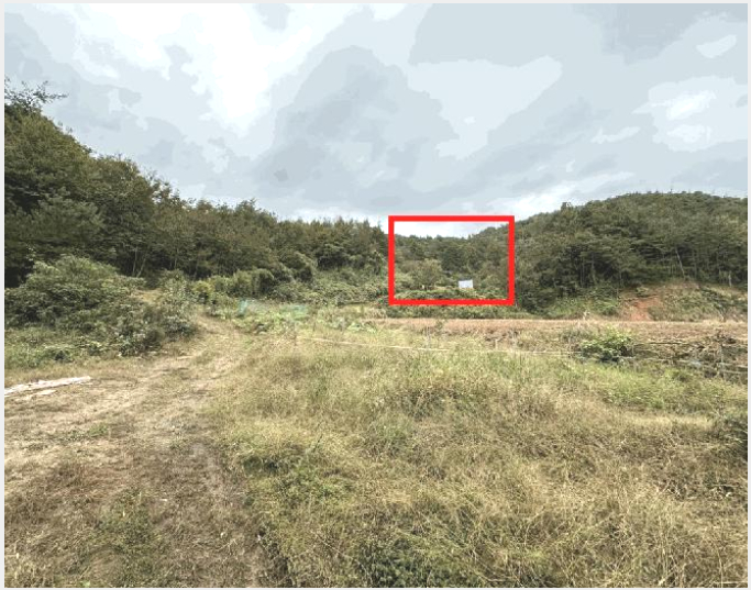 ÅäÁö(Àü) »çÁø1 | º¸¼º±º º¹³»¸é µ¿±³¸® | 2025Ÿ°æ52086 | ÅäÁö(Àü)°æ¸Å
