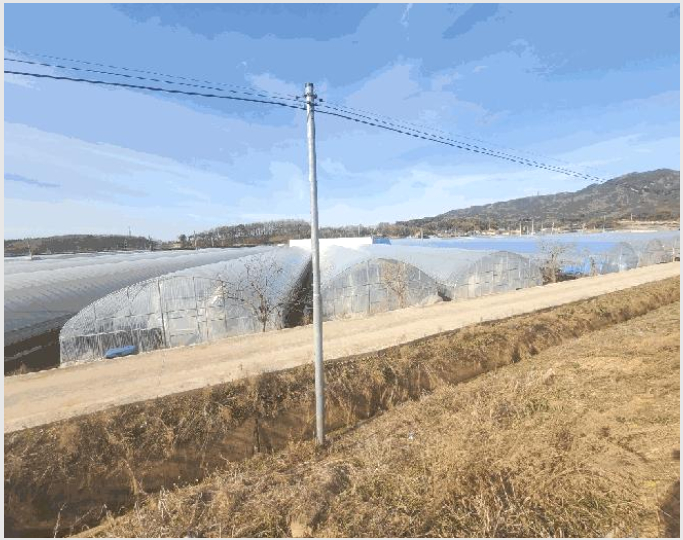 ÅäÁö(´ä) »çÁø1 | ÀÍ»ê½Ã »ï±â¸é ±â»ê¸® | 2025Ÿ°æ20661 | ÅäÁö(´ä)°æ¸Å